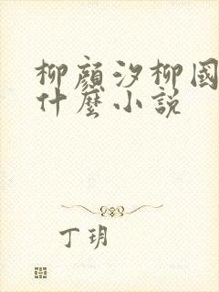 柳颜汐柳国安是什么小说