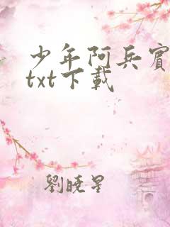 少年阿兵宾小说txt下载