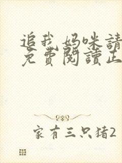 追我妈咪请排队免费阅读正版