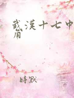 武汉十七中女主角