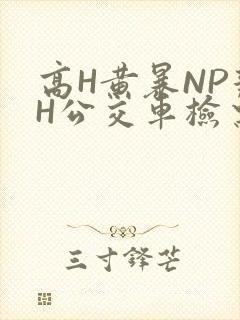 高H黄暴NP辣H公交车检票员