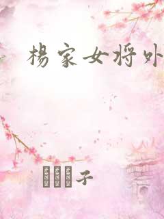 杨家女将外传