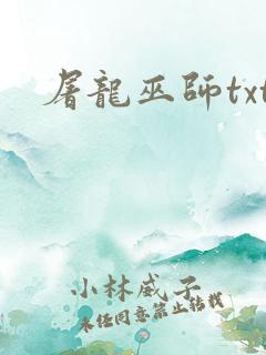 屠龙巫师txt
