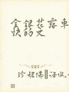 金银花露车速最快的文