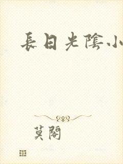 长日光阴小说