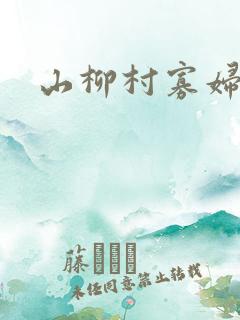 山柳村寡妇情史