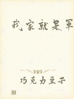 我家就是军火铺