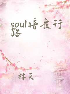 soul暗夜行路
