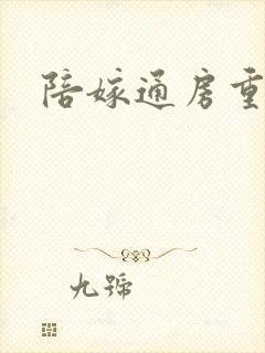 陪嫁通房重生记