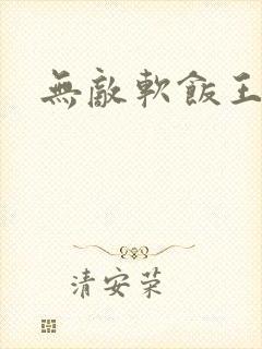 无敌软饭王