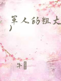 军人的粗大(h)