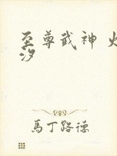 至尊武神 火龙汐