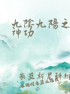 九阴九阳之阴阳神功