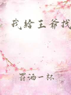 我给王爷找小三