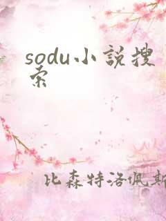 sodu小说搜索