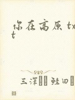 你在高原 txt