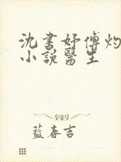 沈书妤傅灼抖音小说医生