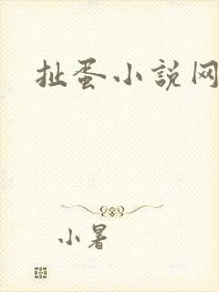 扯蛋小说网