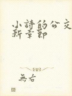 小诗的公交车最新章节