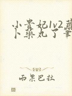 小贵妃1v2萝卜药丸了笔趣阁