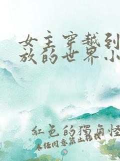 女主穿越到很开放的世界小说