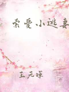 索爱小逃妻