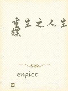 重生之人生新目标