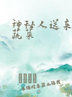 神秘人送来千斤蔬菜