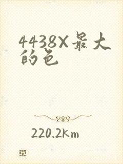 4438X最大的色