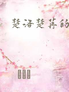 楚洛楚苒的小说