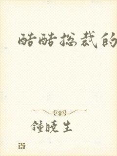 酷酷总裁的情人