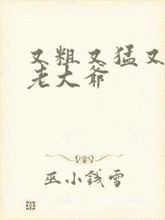 又粗又猛又大爽老大爷