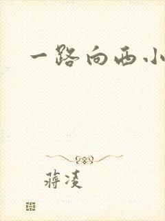 一路向西小说