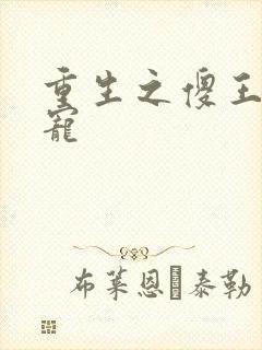 重生之傻王心尖宠