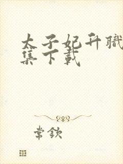 太子妃升职记全集下载