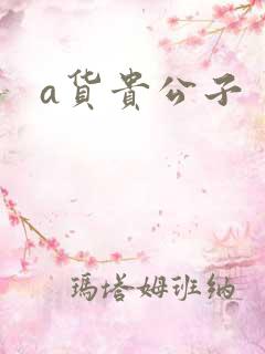 a货贵公子