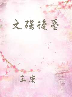 文强后台
