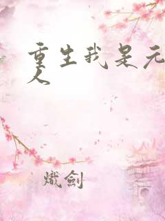 重生我是元帅夫人