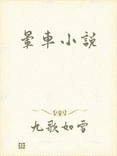晕车小说