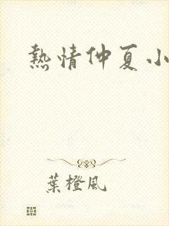 热情仲夏小说