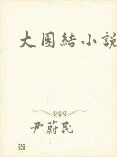 大团结小说阅读