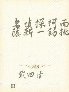 名侦探柯南给工藤新一的挑战书