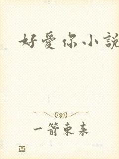 好爱你小说