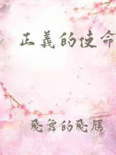 正义的使命小说