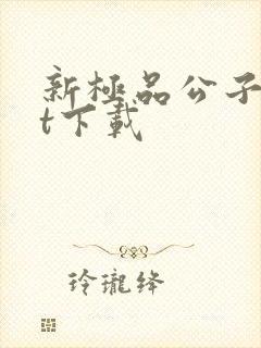 新极品公子txt下载