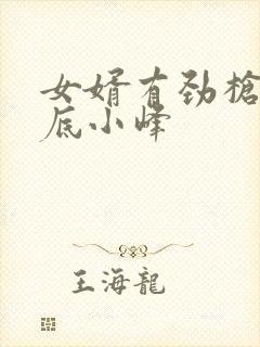 女婿有劲枪枪到底小峰