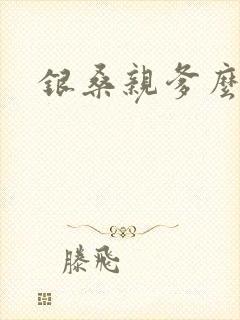 银桑亲爹么么哒