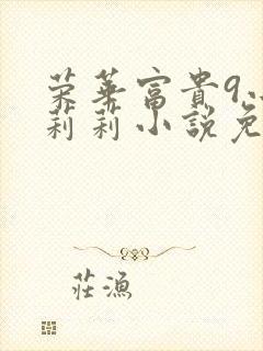 荣华富贵9小王莉莉小说免费阅读