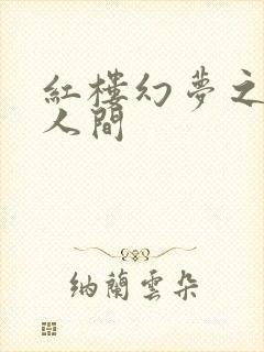 红楼幻梦之天上人间