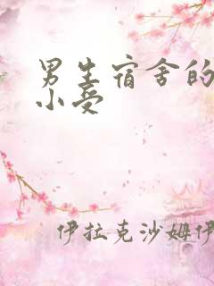 男生宿舍的公共小受